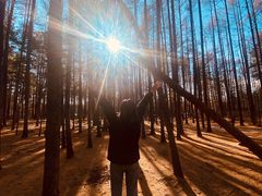 -北极村旅游风景区