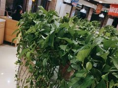 -嘉和一品粥(政府街店)
