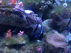 -成都浩海立方海洋公园