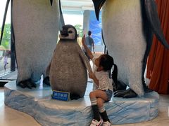 -帝企鹅自助餐厅•儿童岛•真企鹅(长隆企鹅酒店)