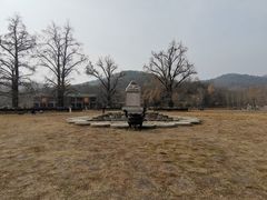 -千年银杏谷文化旅游区