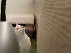 -美联众合动物医院·24h转诊中心