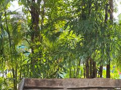 -三亚湾海居铂尔曼度假酒店