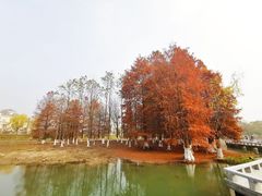 -白塘生态植物园