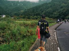 -石台牯牛降景区