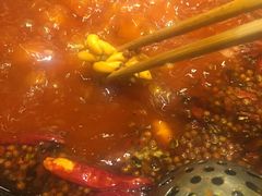 -锅首鲜品火锅(鸳鸯店)