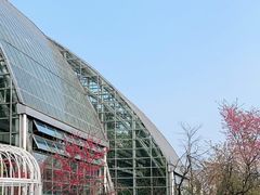 -南山植物园