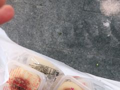 -采芝斋评弹茶馆(观前街店)
