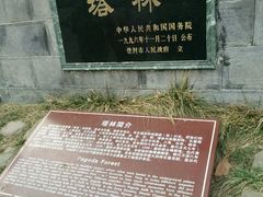 -少林寺景区
