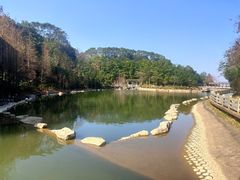 -广州市帽峰山景区