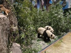 -长江文明馆