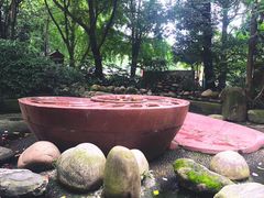 -成都市活水公园