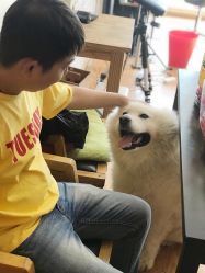 -英刺青 纹身 洗纹身