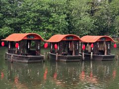 -侨美·唐荔园·40年地道粤菜