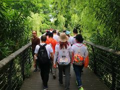 -尚贤河湿地