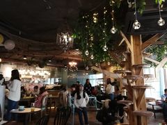 大堂-共舞时光猫咖·狗咖(新街口店)