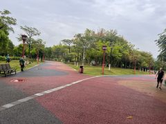 -眉山湿地公园(东坡区)
