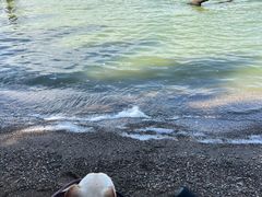 -捞渔河湿地公园