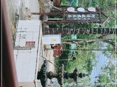 -阿清嫂农家乐.黎窑烤鸡