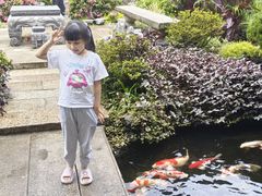 -聚福宝合苑食府(南头镇店)