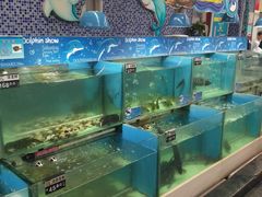 -北国超市(益元店)