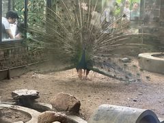 -岭南美术馆