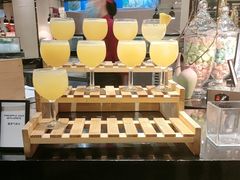 -广州万富希尔顿酒店·感趣自助餐厅·金秋蟹宴生蚝海鲜刺身