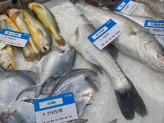 -胖大嫂渔家排档(半边山店)