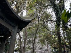 -江心屿景区