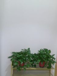 -奥本瑜伽·普拉提