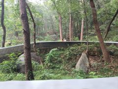-沂蒙山旅游区云蒙景区(蒙山国家森林公园)