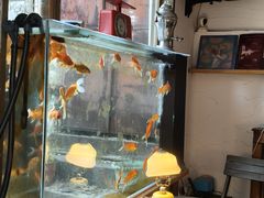 -溪岸路花鸟市场