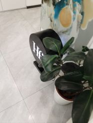 -ZELL·泽尔医疗美容
