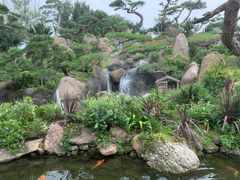 -罗红摄影艺术馆