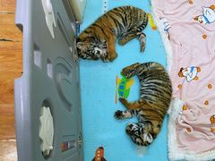 -常州淹城野生动物世界