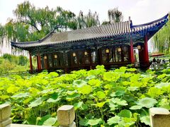-济南大明湖景区