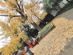 -三苏祠