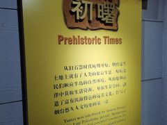 -烟台市博物馆