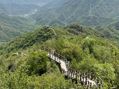 -大岭沟猕猴桃谷风景区