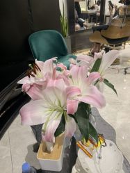-OnHair Salon