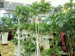 -陇菜和盛祥(金轮宾馆店)