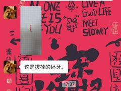 -德元·美联众合24小时动物医院(总院)