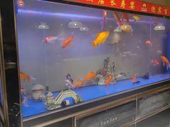 -欣旺·迎宾楼·百年无锡菜