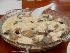 -韩包子(青石桥店)