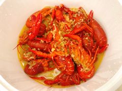 -杨氏青龙虾·羊蝎子(托乐嘉店)