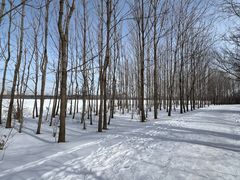 -长春市南湖公园