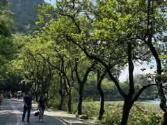 -星湖旅游景区七星岩