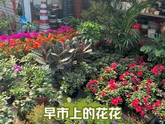 -桃源市场(解放路店)