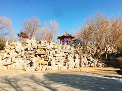-隆兴寺