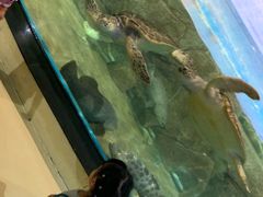 -福州罗源湾海洋世界旅游区